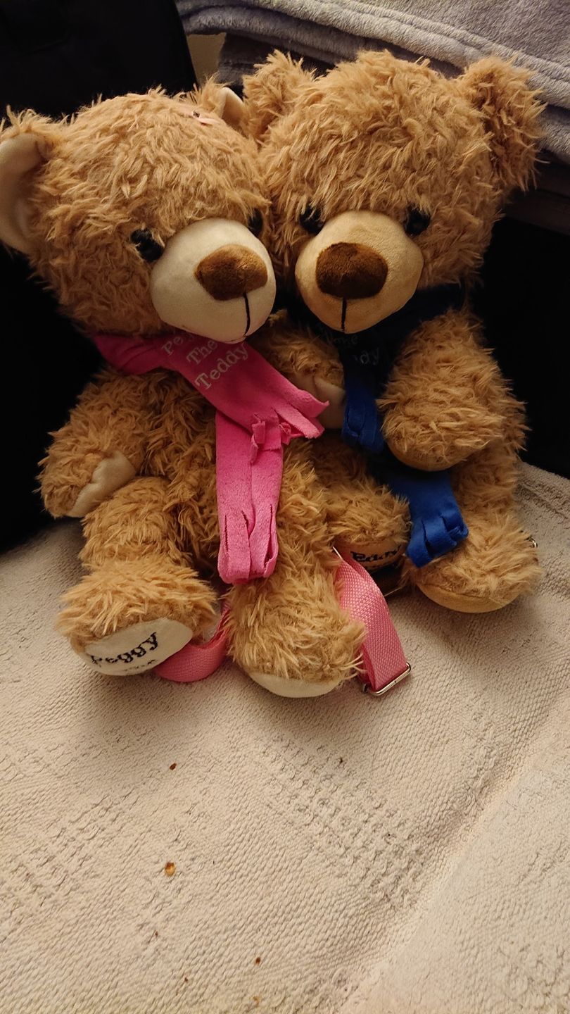 Customer photo review of Eddy The Teddy Backpack