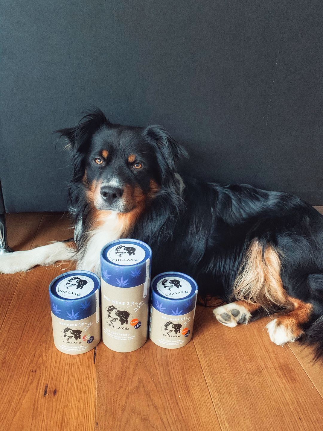 Customer photo review of Hundekekse - Kürbis-Huhn - 0.5mg CBD - 180 g