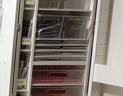 Customer photo review of 8 Shallow InView™ Totes