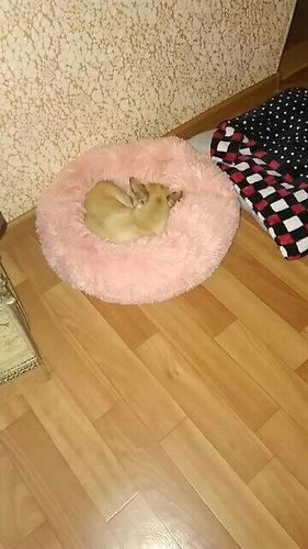 Christmas Deals 50 Off Comfy Dog Bed Soft Fur Pets Claming Bed