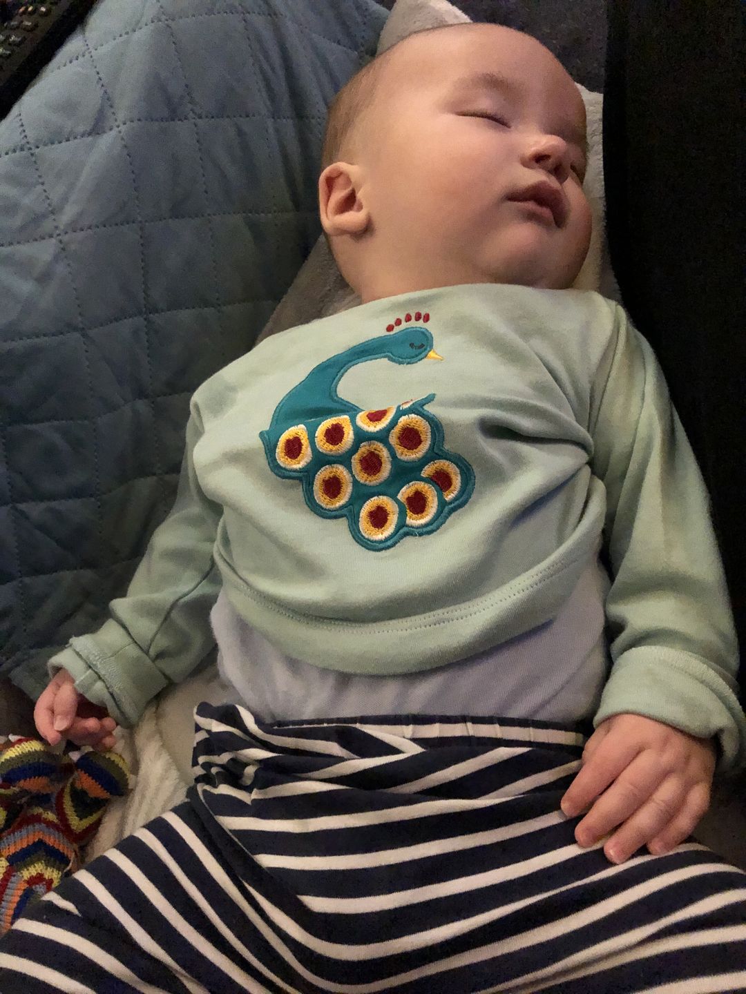 Customer photo review of Midnight Peacock Applique Tee
