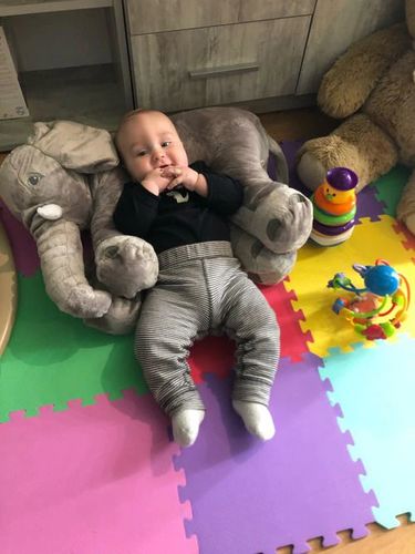 Phelio L Elephant Blue Buns