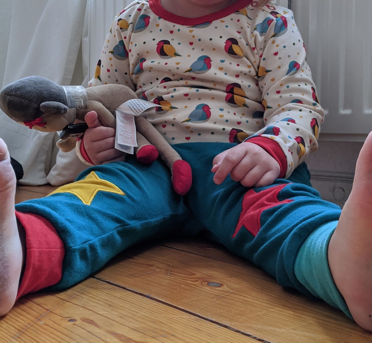 Customer photo review of Rainbow Robins Long Sleeve Tee