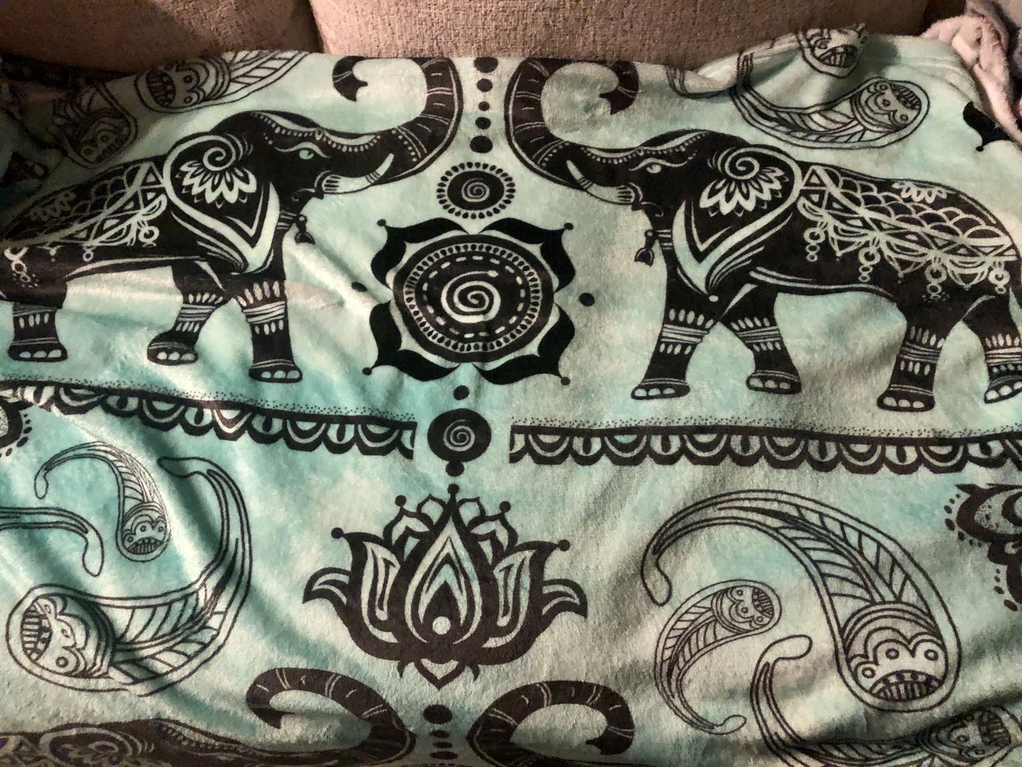 Customer photo review of Elephant Good Fortune Blanket