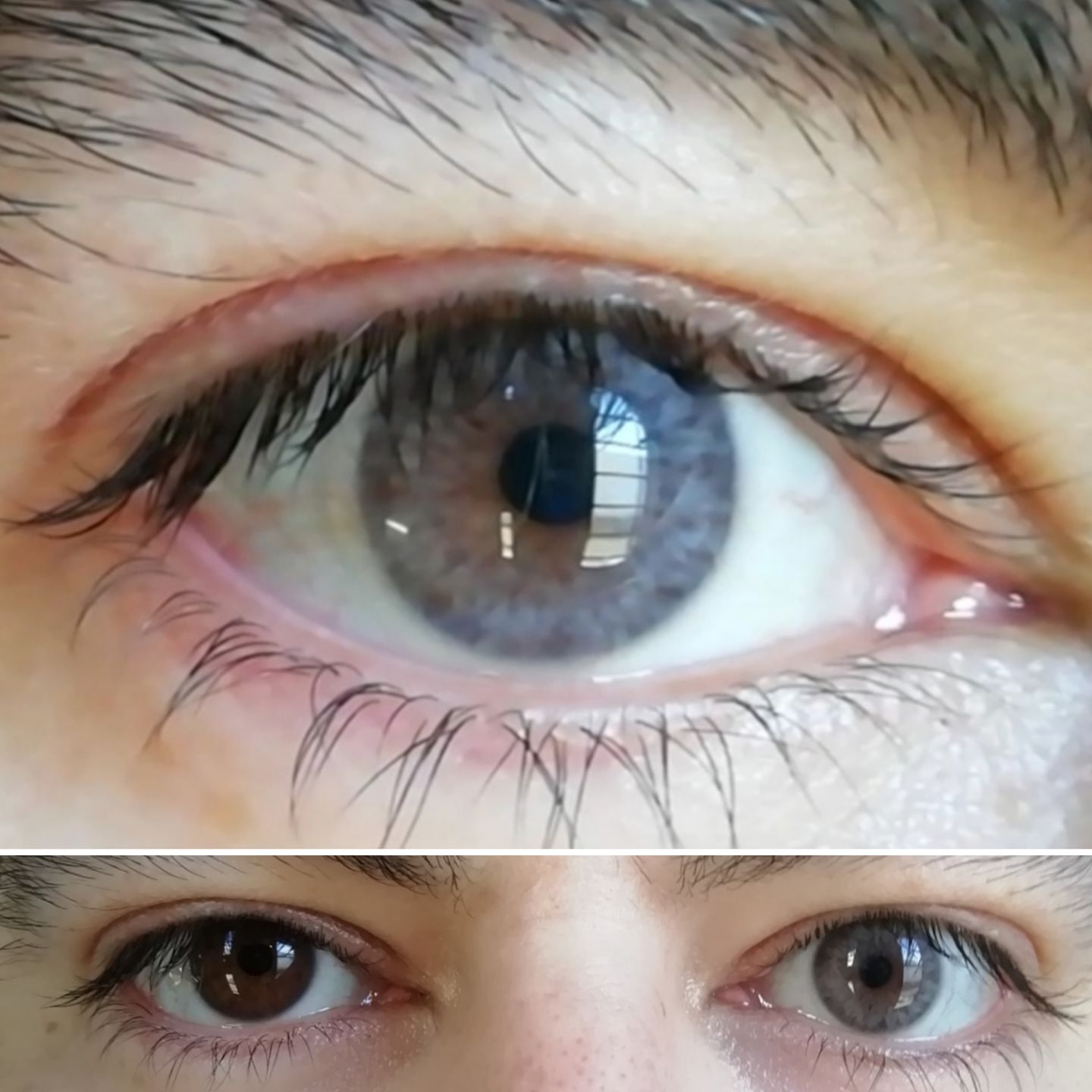 Customer photo review of Siesta Crystal Iris Gray