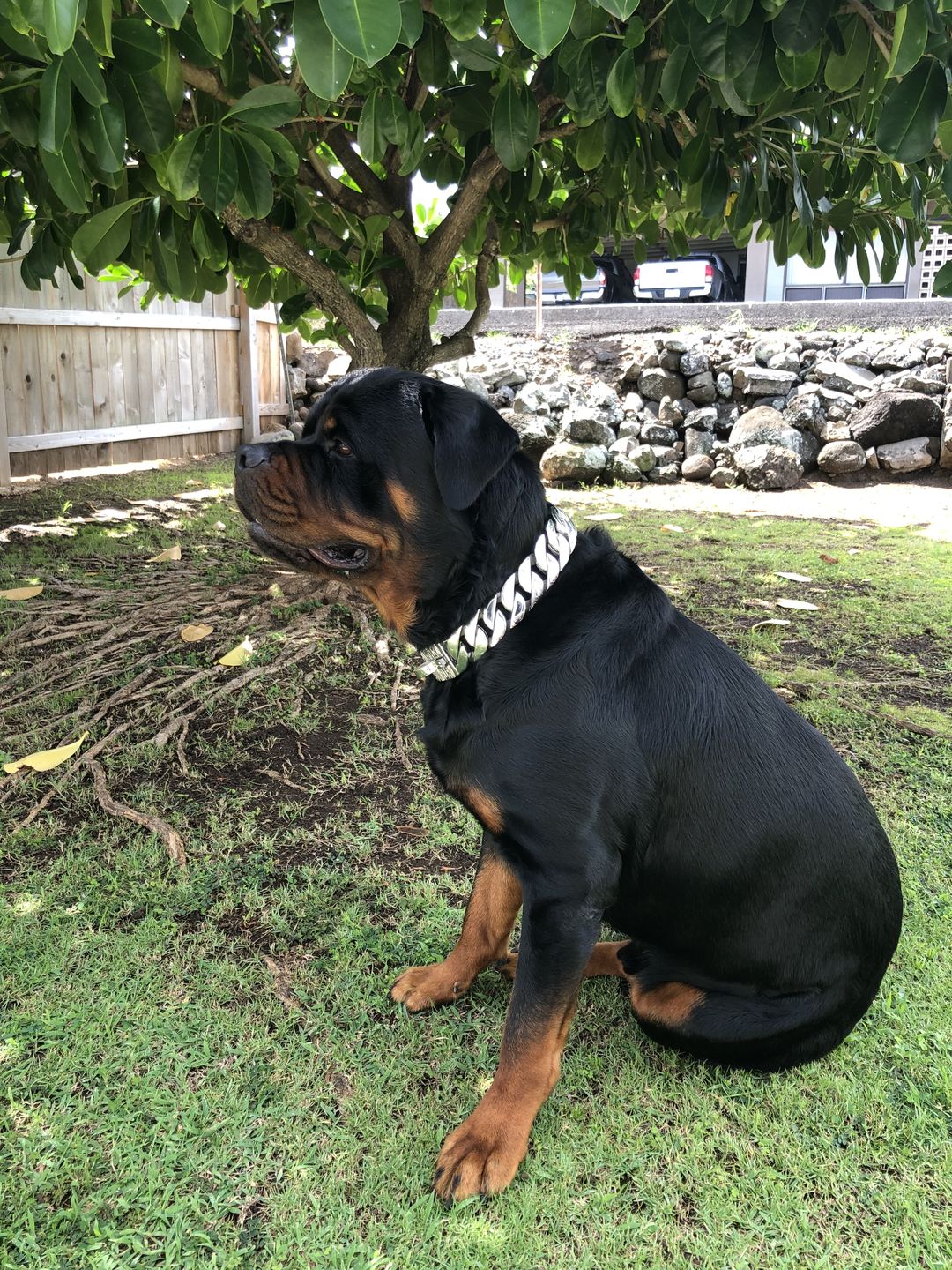 Customer photo review of THE GOLIATH