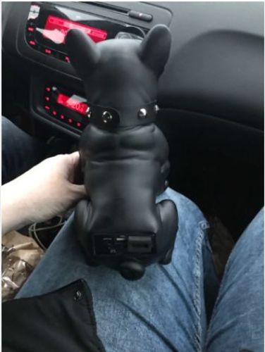boom beats french bulldog speaker v2