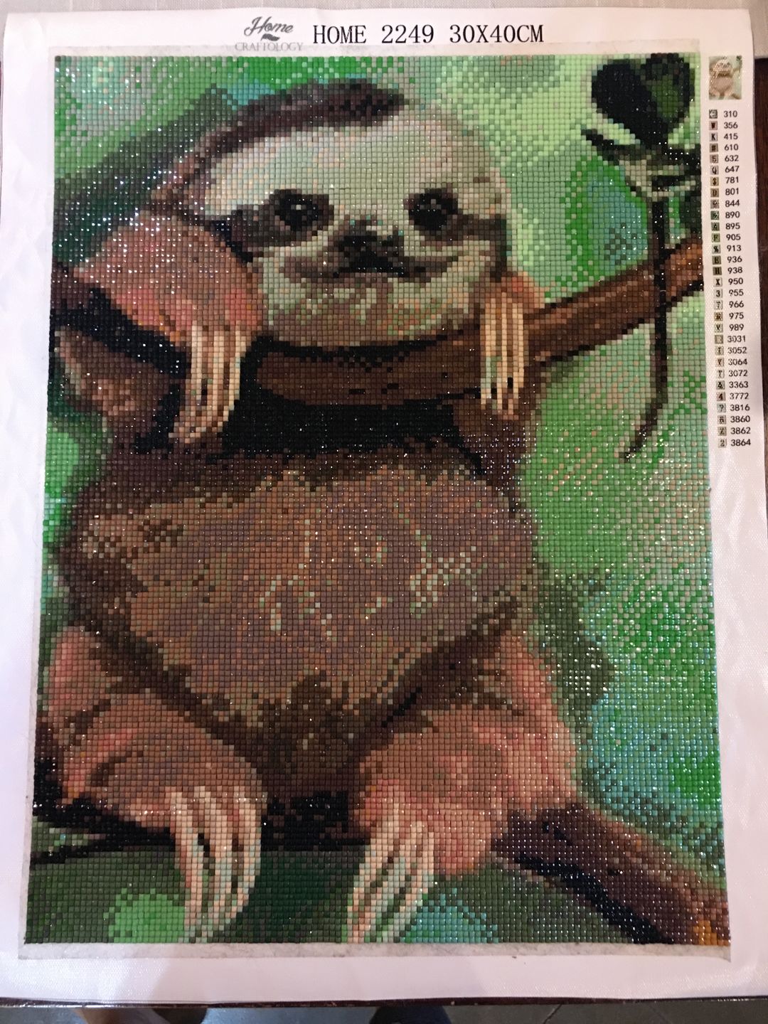 Customer photo review of Baby Sloth - Diamond Painting Kit