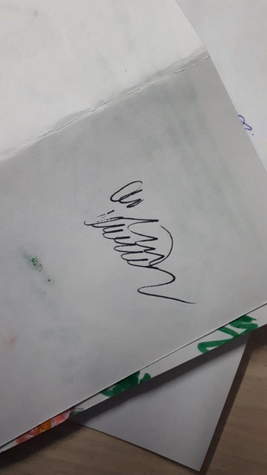 Customer photo review of Bottled Fountain Pen Ink