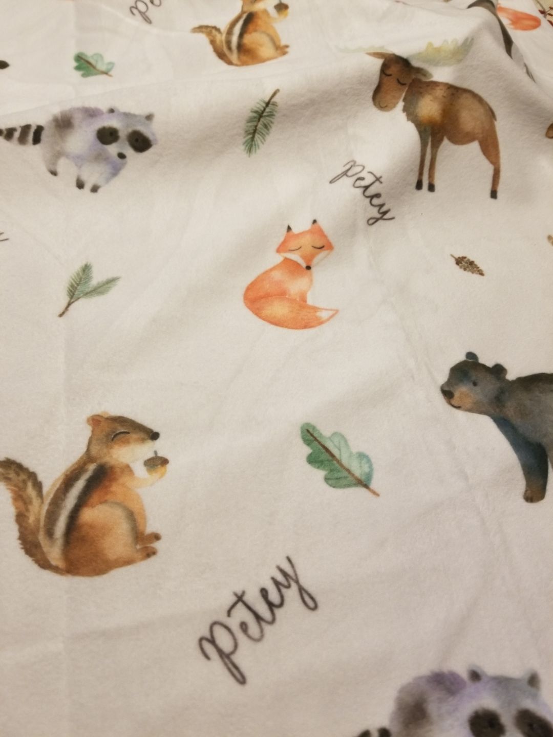 Customer photo review of Woodland Animals Personalized Baby Blanket