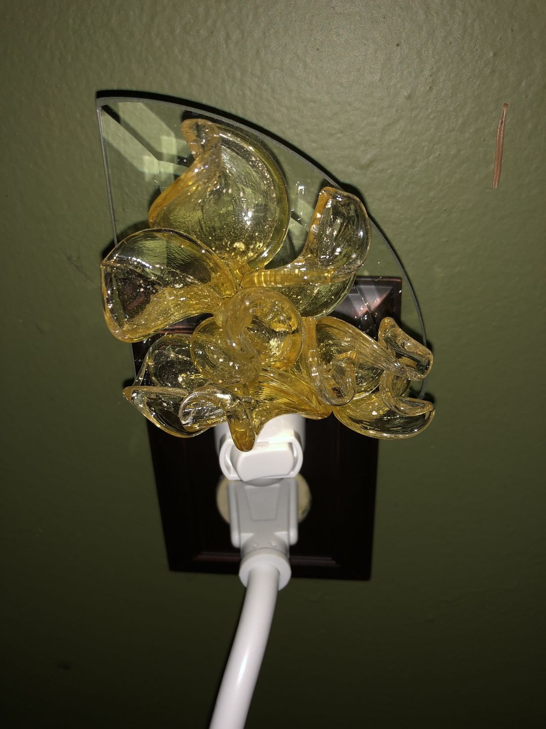 Customer photo review of Memorial Nightlight Flower with Cremation Ash