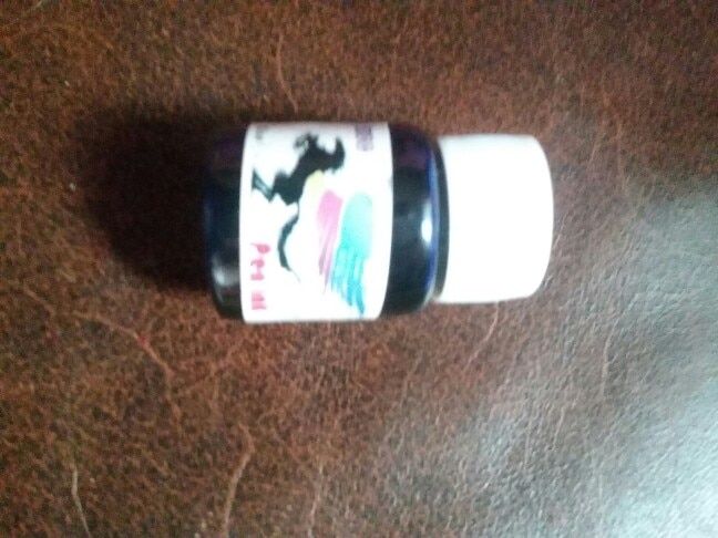 Customer photo review of Bottled Fountain Pen Ink