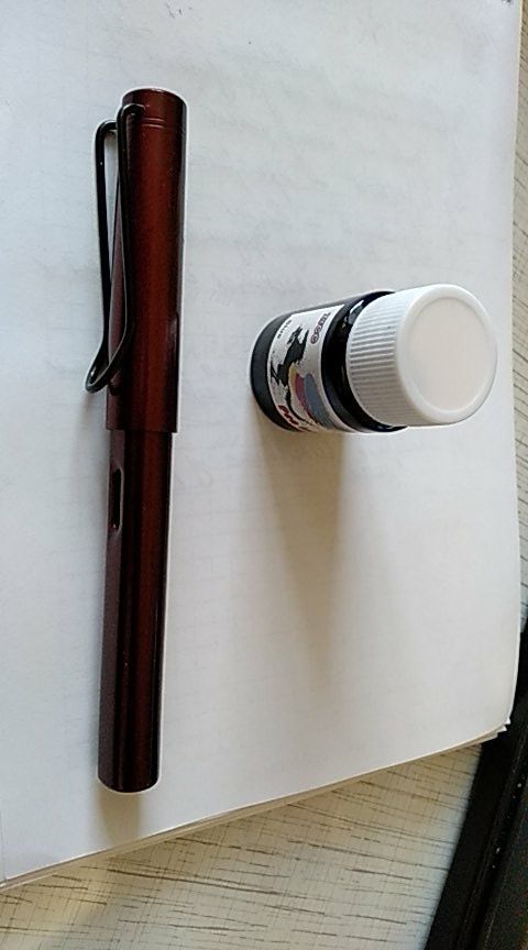 Customer photo review of Bottled Fountain Pen Ink