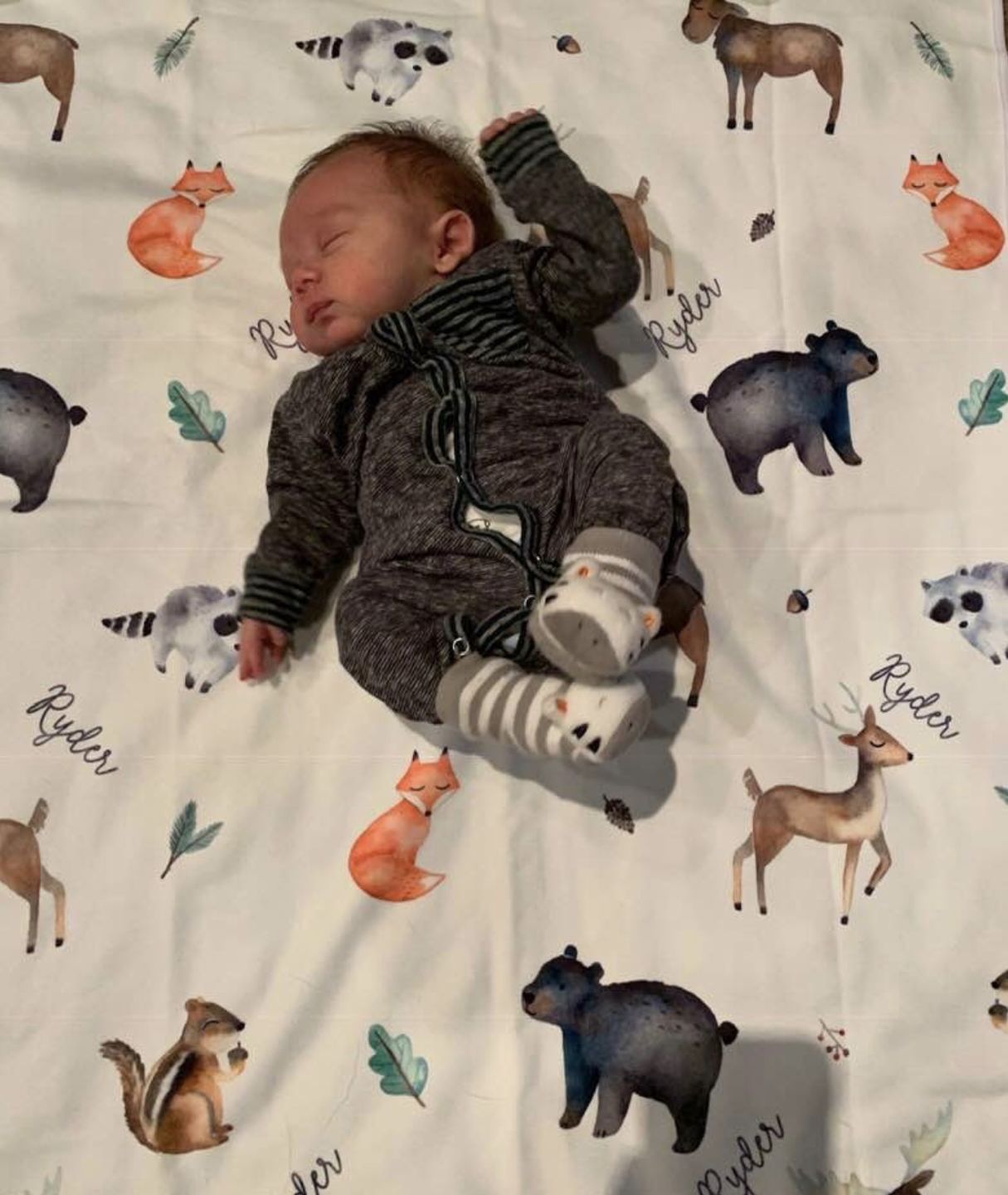 Customer photo review of Woodland Animals Personalized Baby Blanket