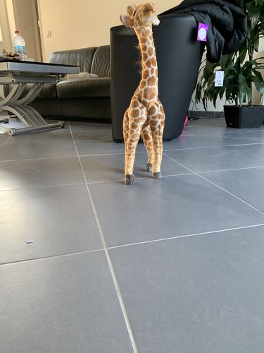 jouet en ligne pas cher