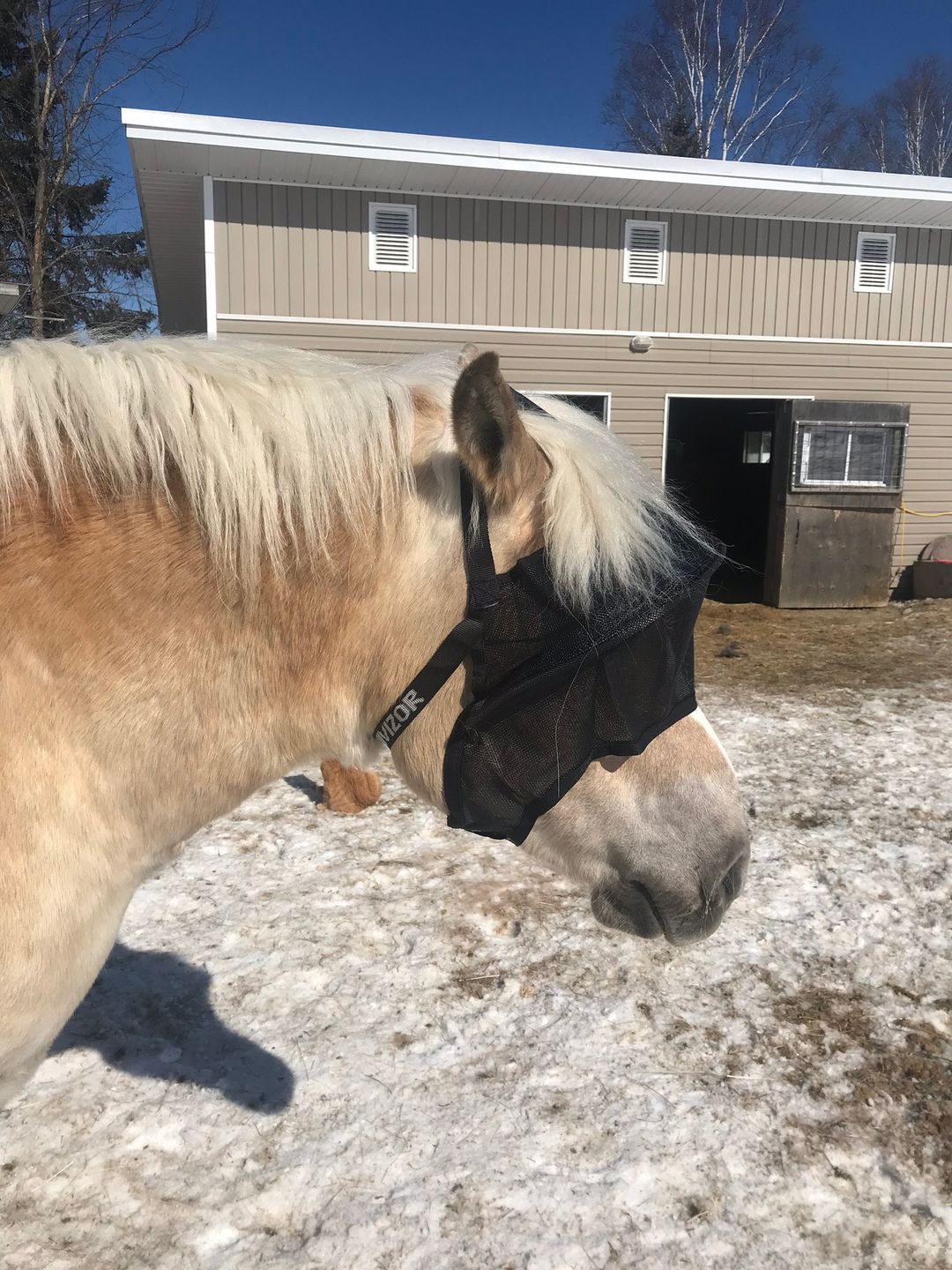 Customer photo review of Replacement L-Clip
