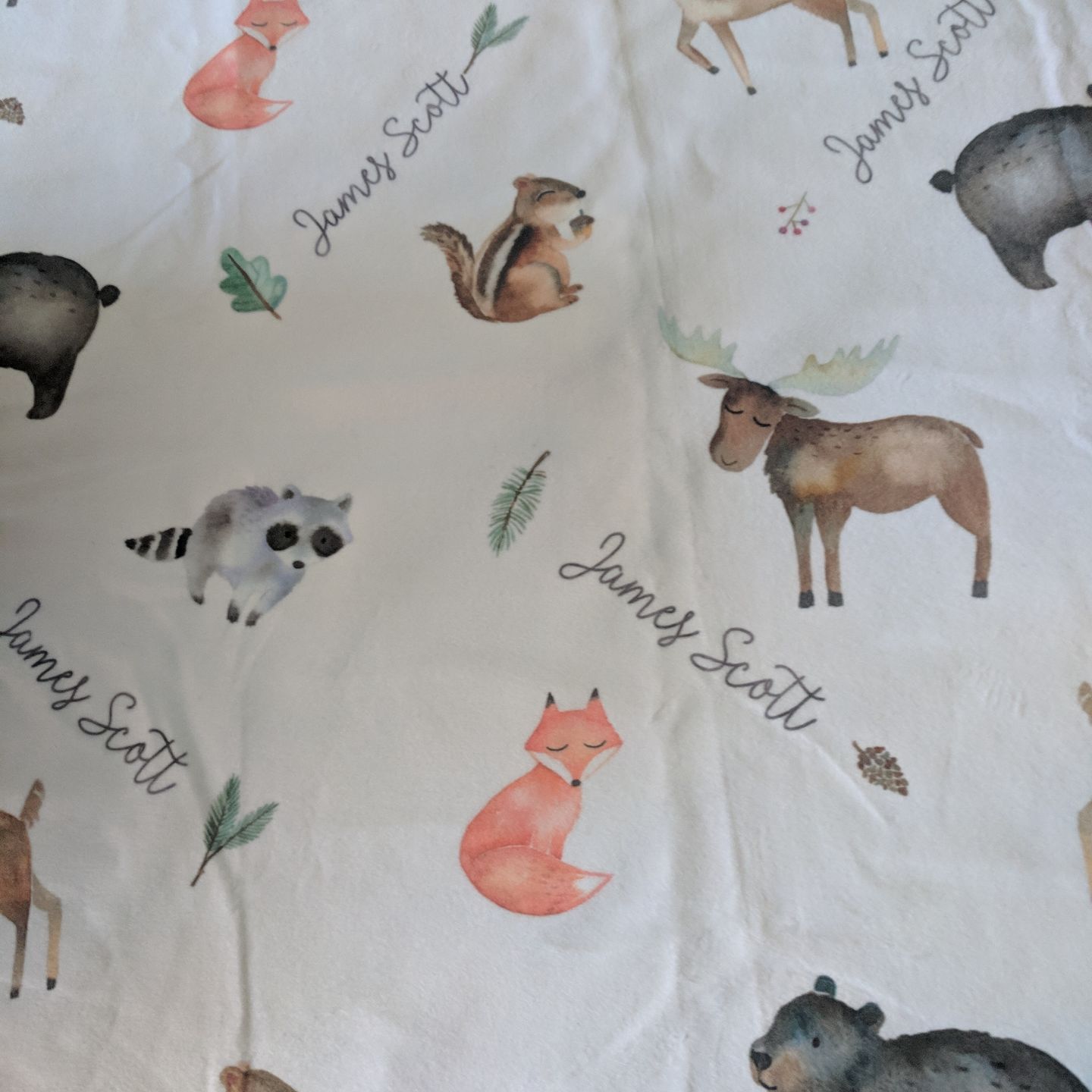Customer photo review of Woodland Animals Personalized Baby Blanket