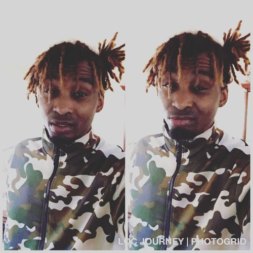 Zamage Reviews 4,016 Reviews