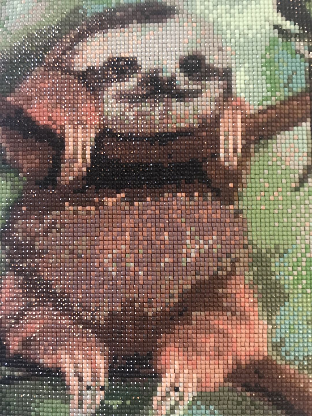 Customer photo review of Baby Sloth - Diamond Painting Kit