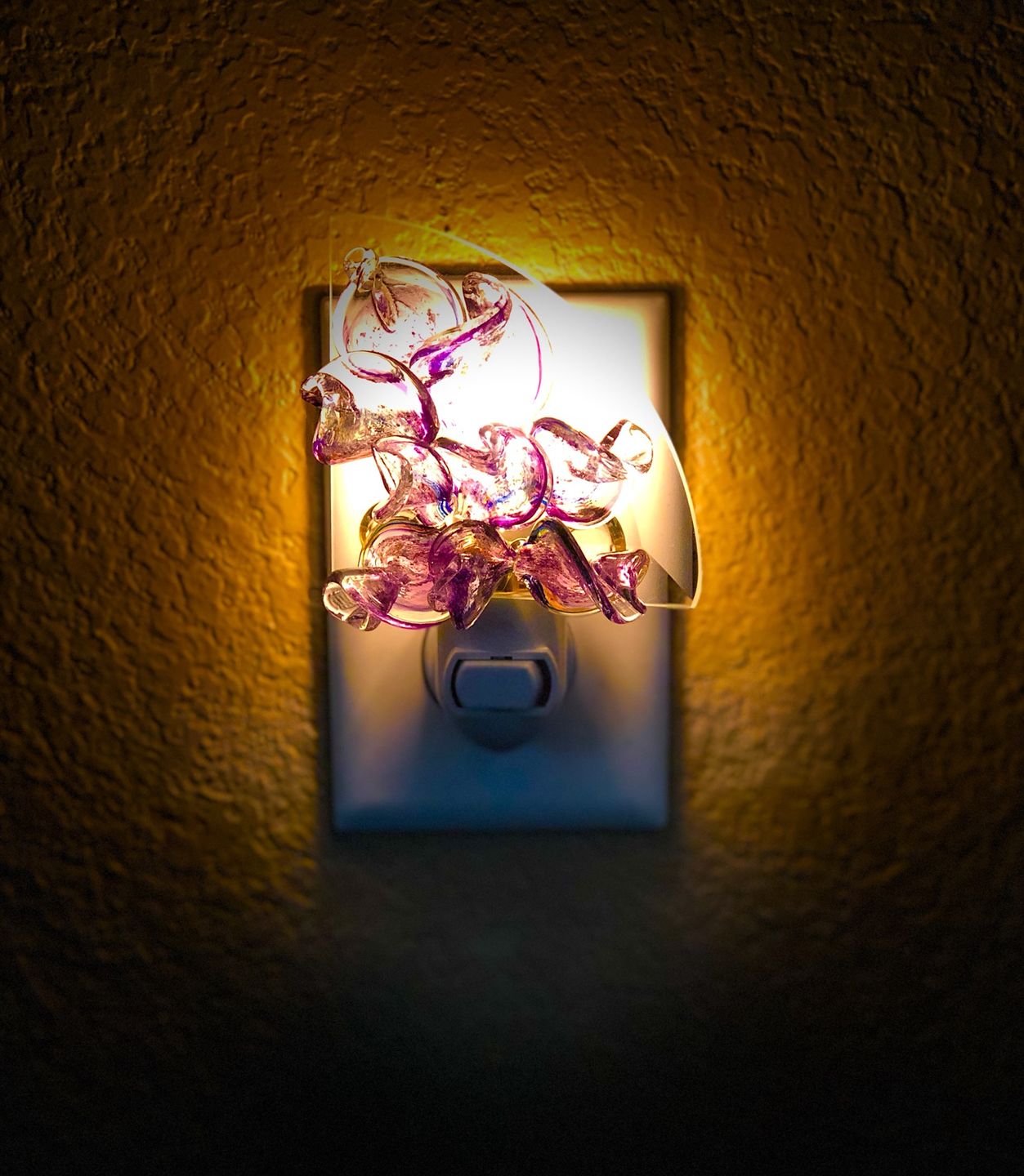 Customer photo review of Memorial Nightlight Flower with Cremation Ash