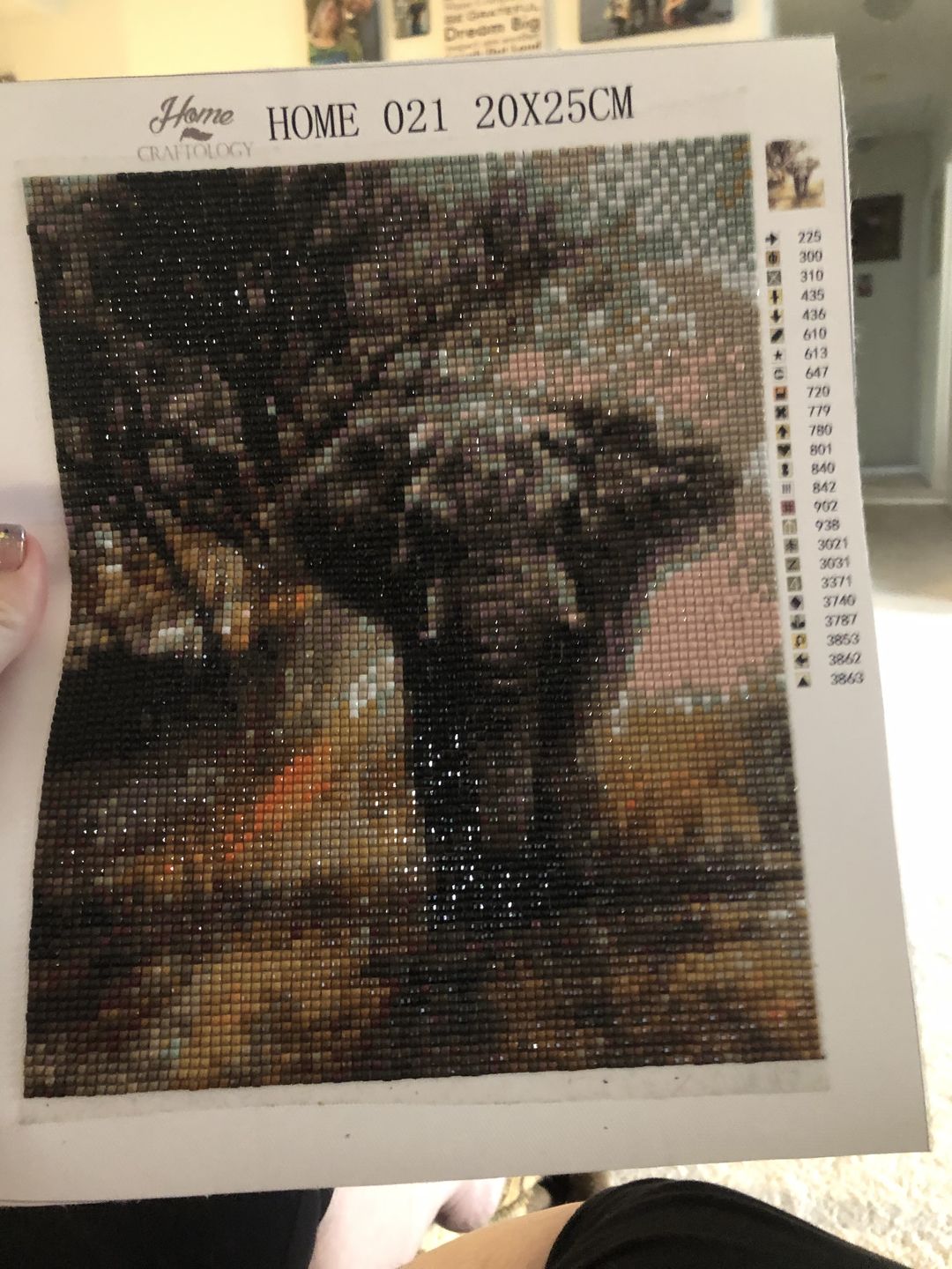Customer photo review of Elephant - Diamond Painting Kit