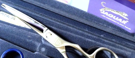 Customer photo review of Jaguar Gold Line Xenox Offset Hair Cutting Scissors