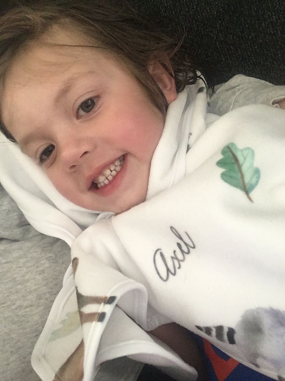 Customer photo review of Woodland Animals Personalized Baby Blanket