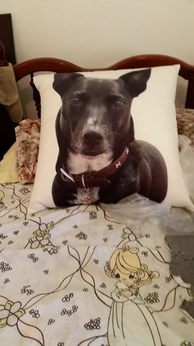 Life Like Pillows Reviews Custom Dog Shaped Pillow