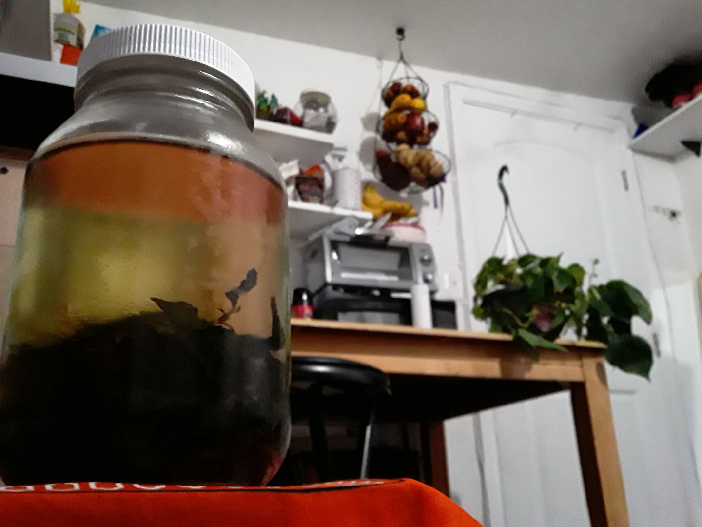 Customer photo review of Gynostemma Tea - 100 grams