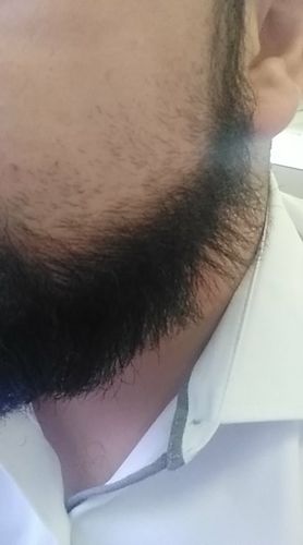 the majestic beard straightener
