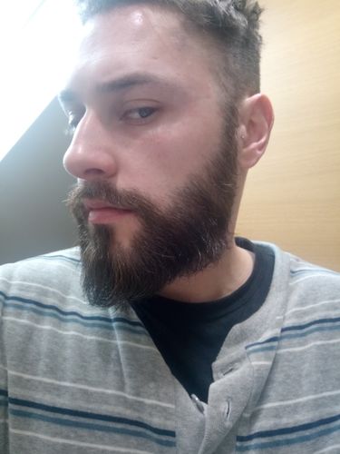 the majestic beard straightener