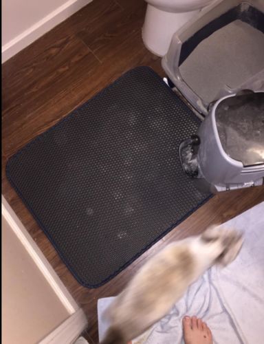 litter locker cat mat reviews