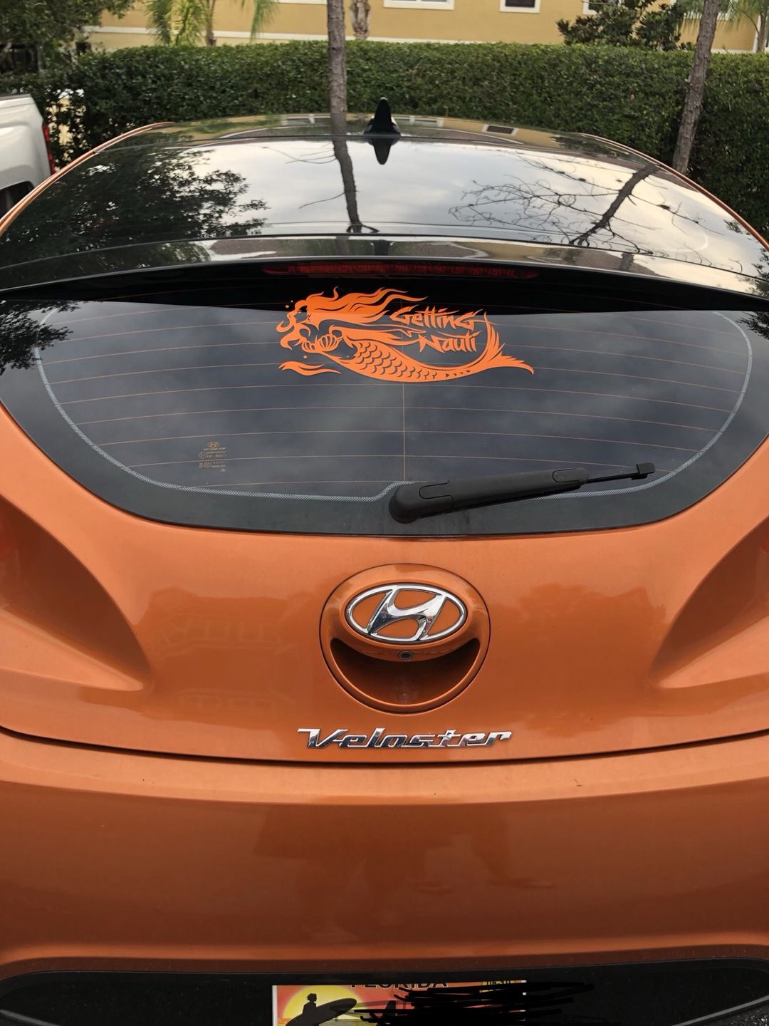 Customer photo review of Mermaid Vinyl Decal