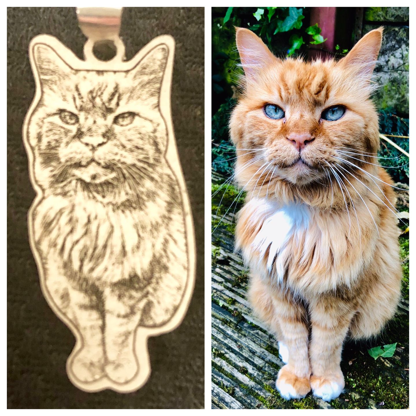 Customer photo review of Personalized Silver Cat Necklace (925 Sterling Silver)