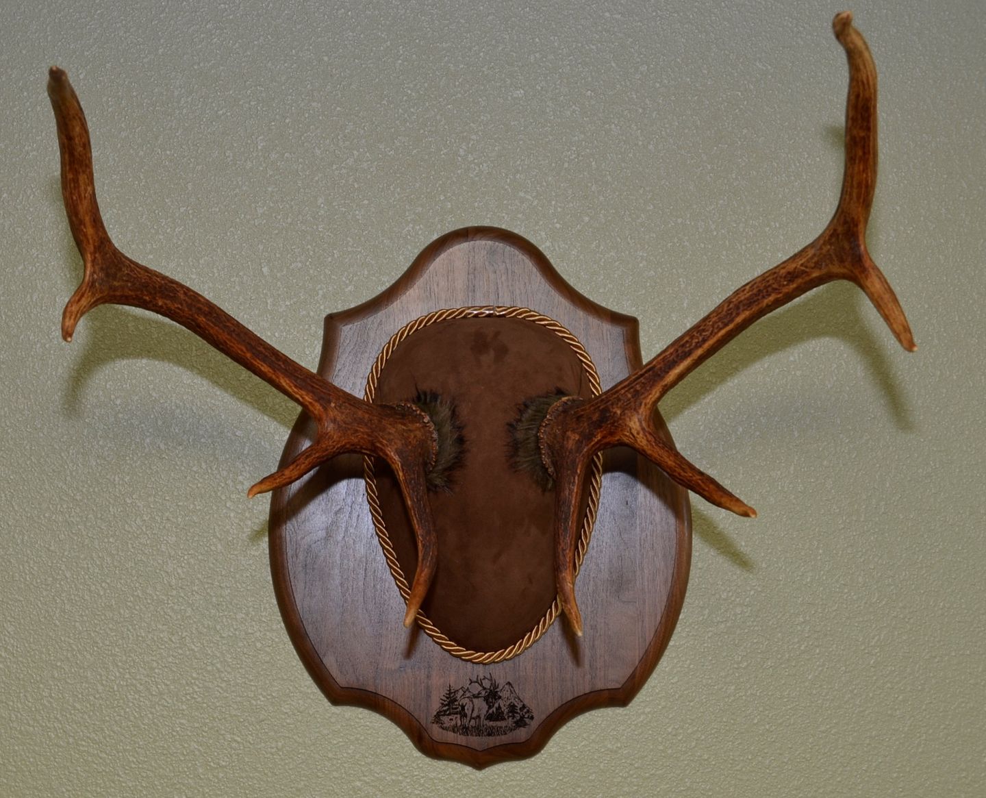 Customer photo review of Goat Suede