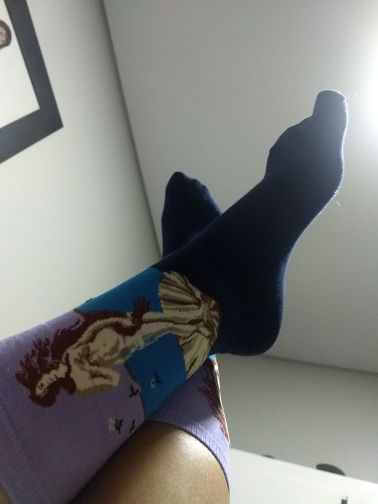 Customer photo review of Famous paintings socks