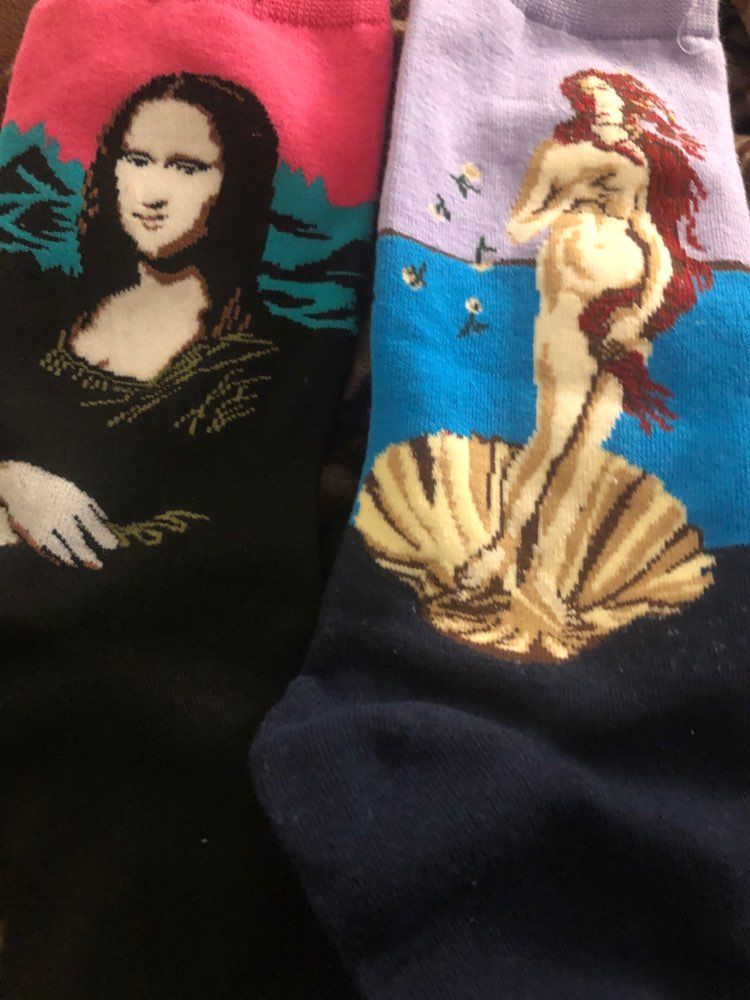 Customer photo review of Famous paintings socks