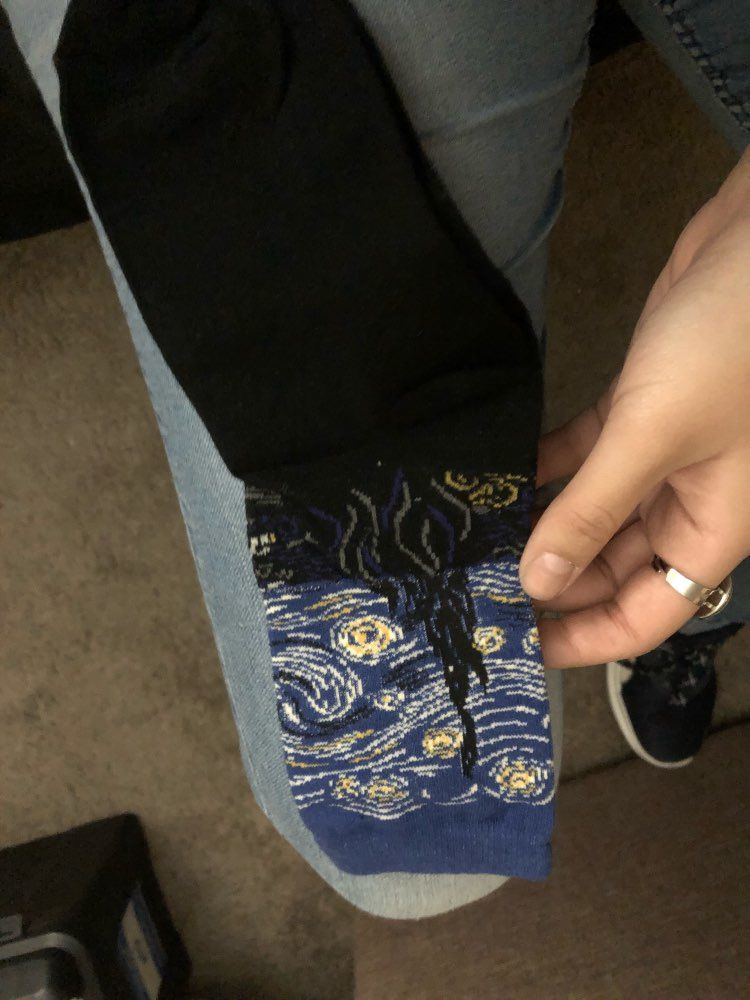 Customer photo review of Famous paintings socks