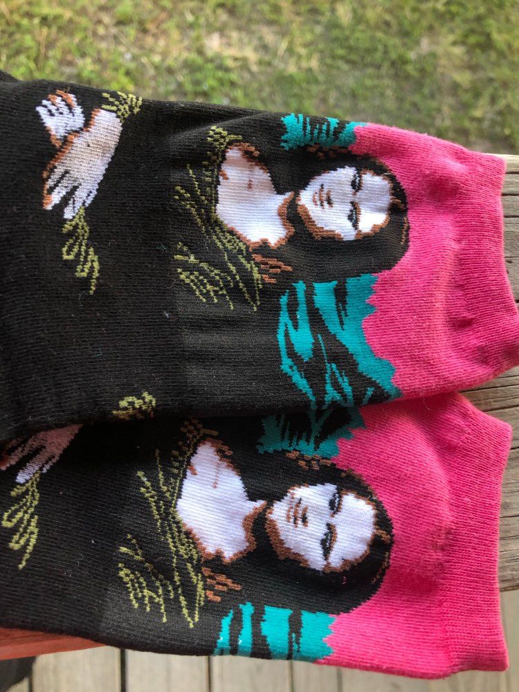 Customer photo review of Famous paintings socks