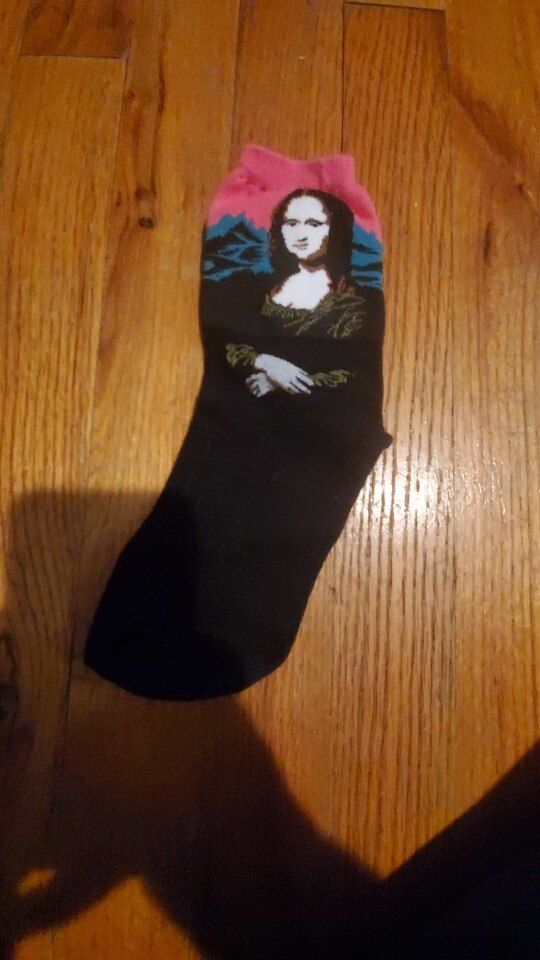 Customer photo review of Famous paintings socks