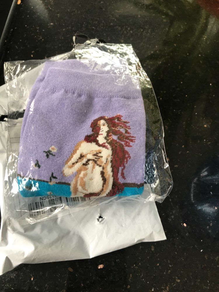 Customer photo review of Famous paintings socks