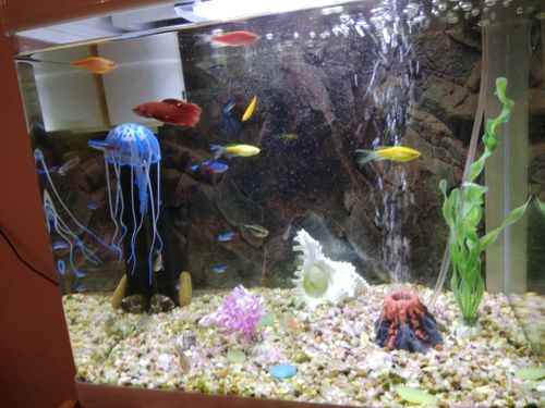 Volcano Shape Aquarium Decoration Fish Tank Air Bubble Oxygen Pump
