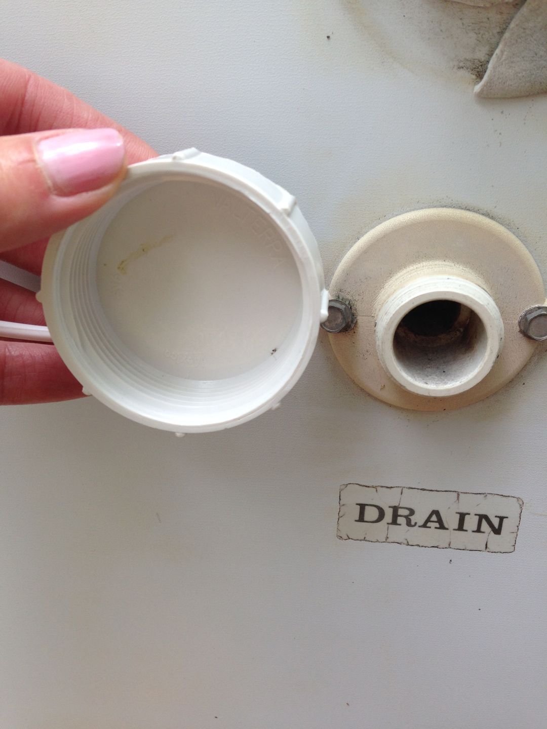 Customer photo review of Exterior Drain Cap