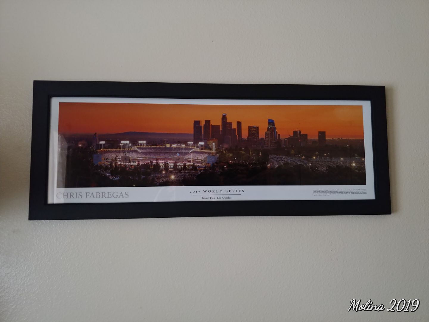 Customer photo review of Dodger Stadium 2017 World Series Panoramic Poster