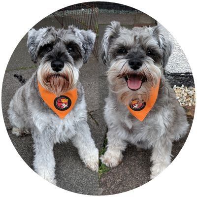 Customer photo review of Zombie Squad Red Pet ID Tag