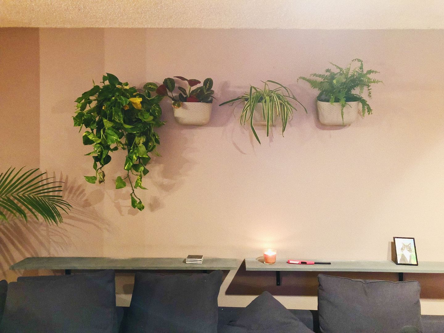 Customer photo review of Wally Eco Stone Wall Planter