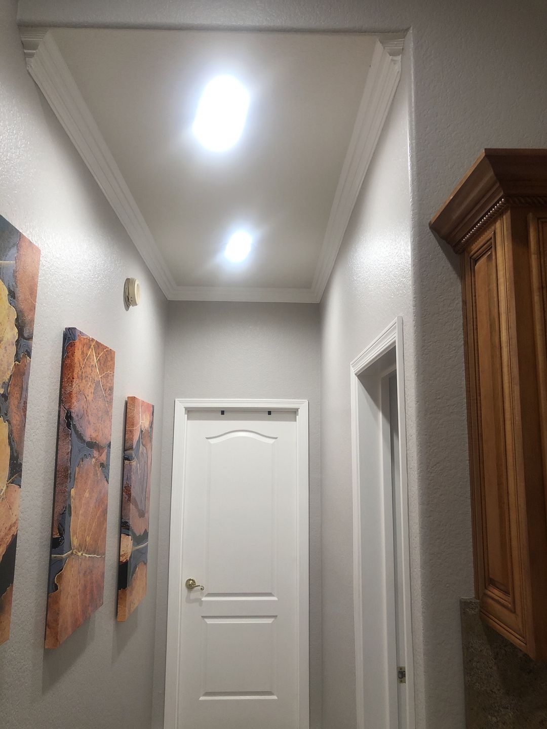Customer photo review of 5/6-inch Dimmable LED Downlights / Can Lights, 1000 Lumens, Recessed Ceiling Light Fixture, 15W CRI90+