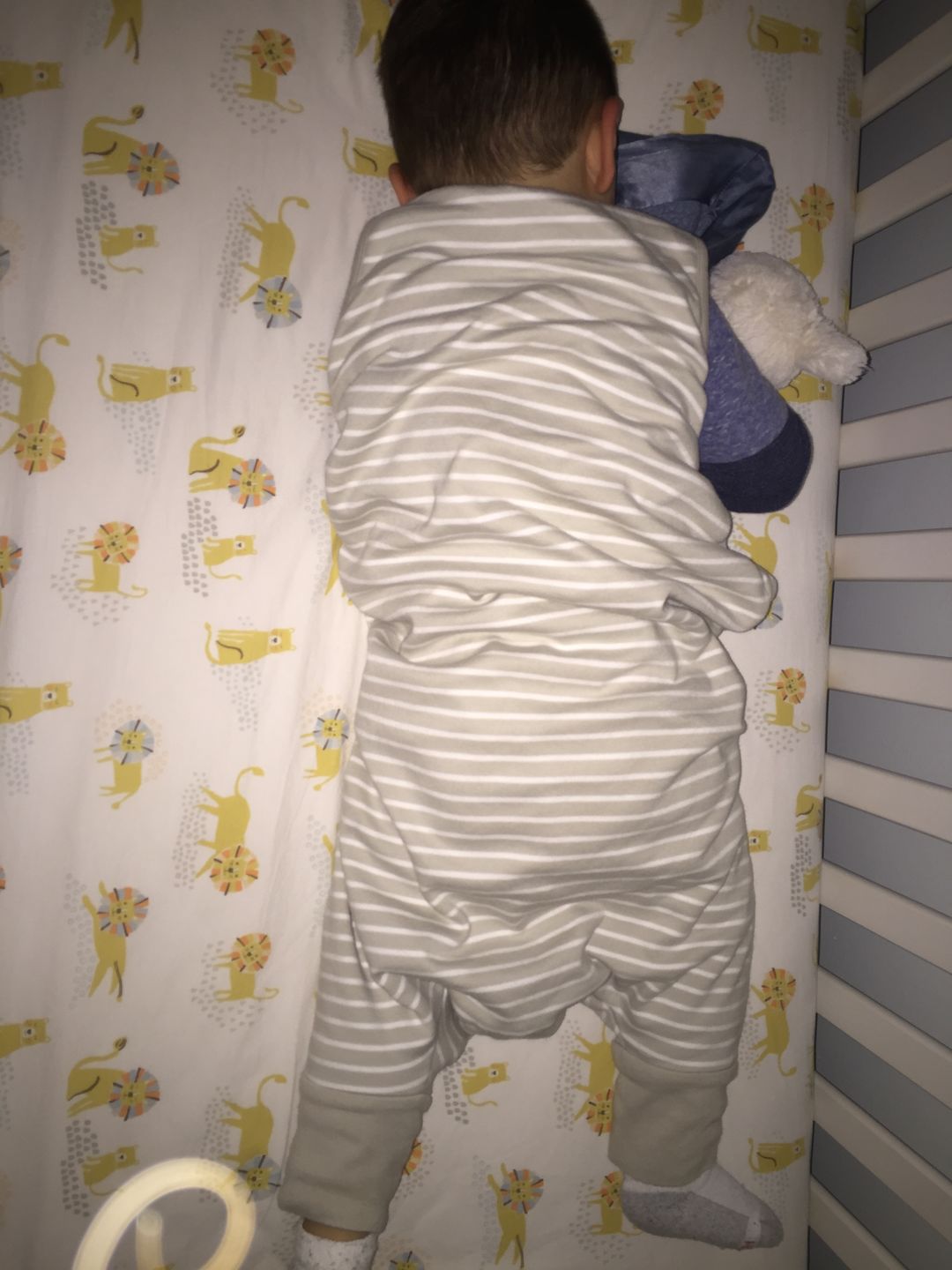 Customer photo review of Kookaburra Wool Wash with Lavender (16-Ounce)