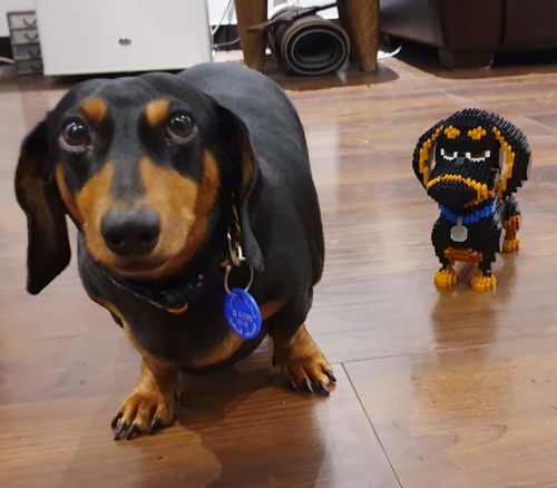 lego sausage dog