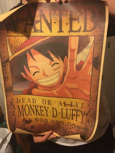 Luffy Shop Reviews